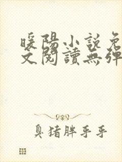 暖阳小说免费全文阅读无弹窗