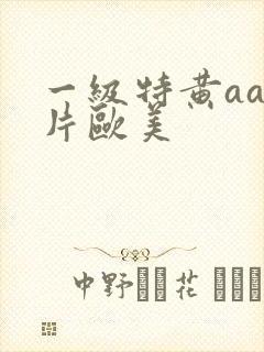 一级特黄aa大片欧美