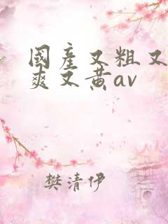 国产又粗又猛又爽又黄av