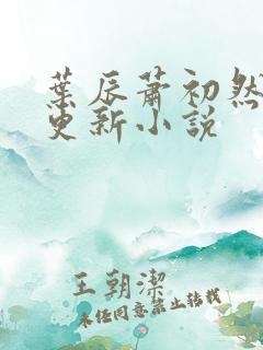 叶辰萧初然最快更新小说
