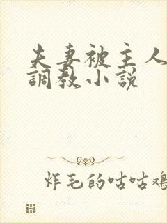 夫妻被主人一起调教小说