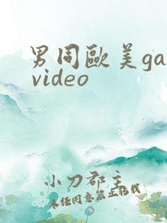 男同欧美gay video
