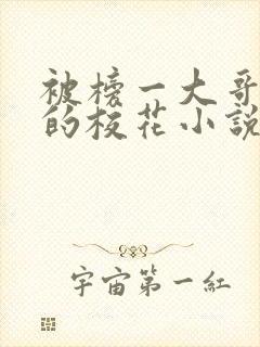 被榜一大哥拿捏的校花小说