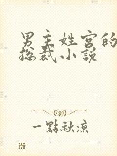 男主姓宫的现代总裁小说