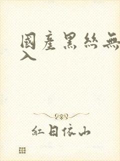 国产黑丝无套进入