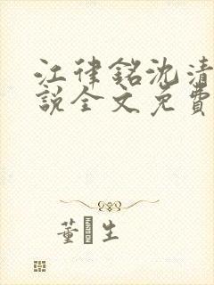 江律铭沈清沅小说全文免费阅读最新