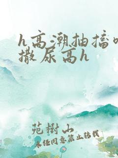 h高潮抽搐喷潮撒尿高h