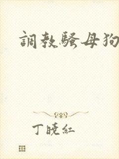 调教骚母狗贱货