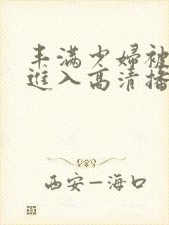 丰满少妇被猛烈进入高清播放,