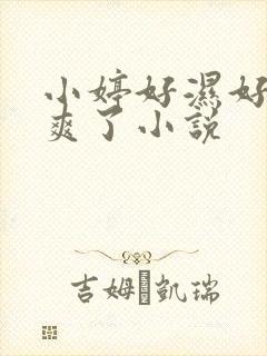 小婷好湿好紧太爽了小说