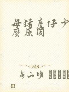 母猪产仔少是什么原因