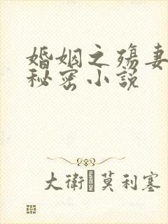 婚姻之殇妻子的秘密小说