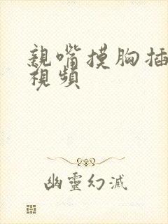 亲嘴摸胸插下面视频