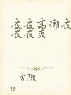 夜夜高潮夜夜爱夜夜爽