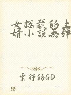 女总裁的上门龙婿小说无弹窗