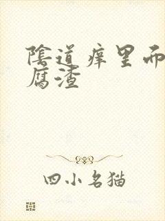 阴道痒里面有豆腐渣