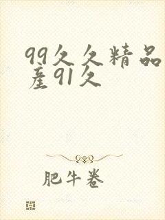 99久久精品国产91久