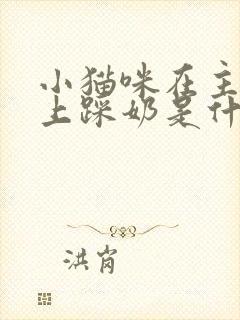 小猫咪在主人身上踩奶是什么意思