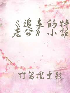 《追来的特种兵老公》小说