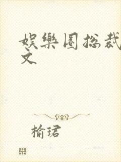 娱乐圈总裁甜宠文