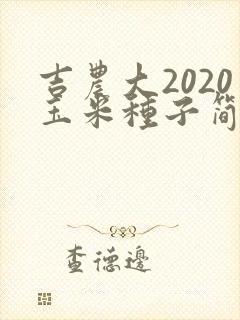 吉农大2020玉米种子简介