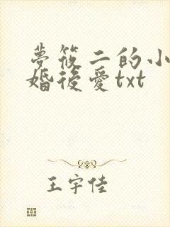 梦筱二的小说先婚后爱txt
