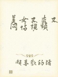 美女又爽又黄的网站视频