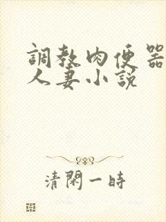 调教肉便器精厕人妻小说