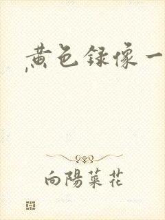 黄色录像一级片'