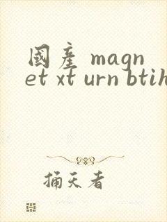 国产 magnet xt urn btih