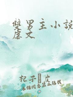 双男主小说推荐虐文