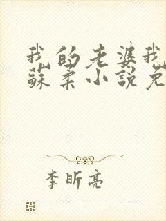 我的老婆我的妻苏柔小说免费阅读