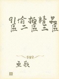 91偷拍精品一区二区三区