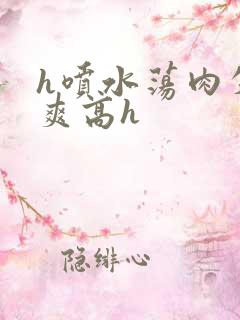 h喷水荡肉失禁爽高h