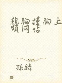 亲胸摸胸上下视频网站