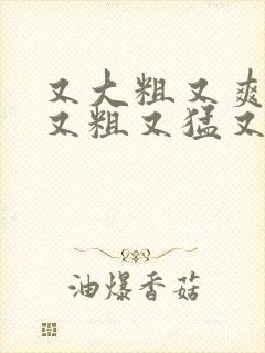 又大粗又爽国产又粗又猛又,爽又黄的视频