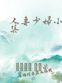 人妻少妇小说合集