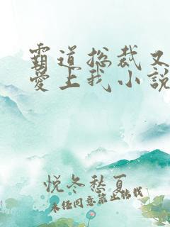 霸道总裁又又又爱上我小说完整版