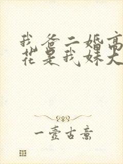 我爸二婚高冷校花是我妹大姐扮演者