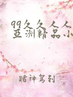 99久久人人爽亚洲精品小说