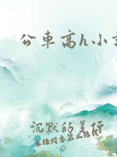 公车高h小说