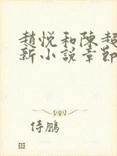 赵悦和陈超的最新小说章节更新时间