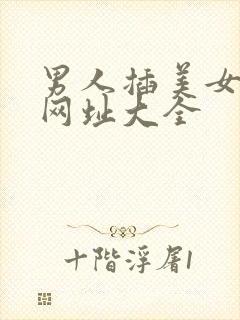 男人插美女视频网址大全