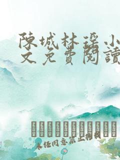 陈城林瑶小说全文免费阅读无弹窗