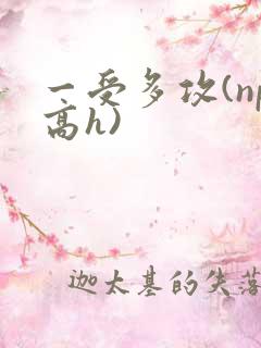 一受多攻(np高h)