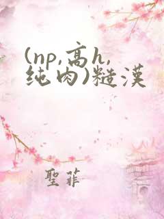 (np,高h,纯肉)糙汉