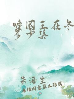 嘘国王在冬眠共多少集