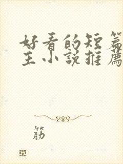 好看的短篇双男主小说推荐完结
