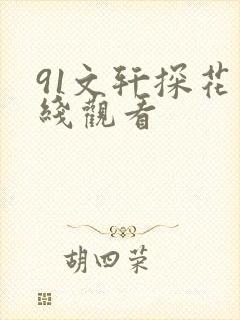 91文轩探花在线观看