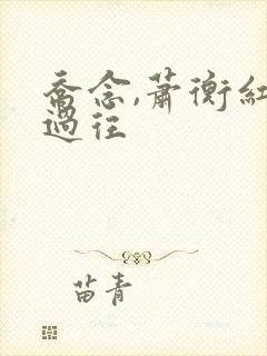 乔念,萧衡红城过往